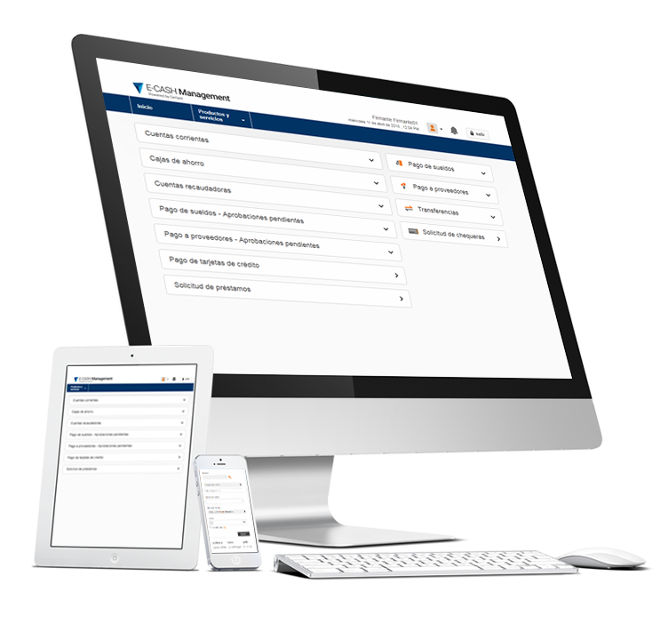 eCash Management en funcionamiento